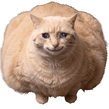 MEOW token