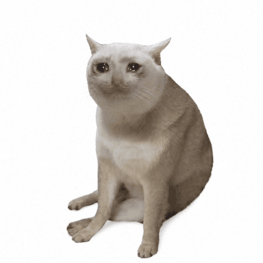 CASHCAT token