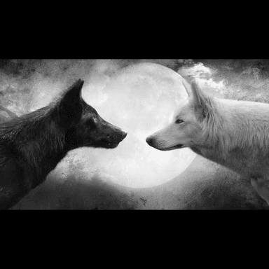 WOLVES token
